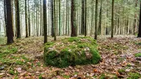 Kamienie ofiarne w okolicach jeziora Kruklin - zdjęcie 12