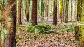 Kamienie ofiarne w okolicach jeziora Kruklin - zdjęcie 15