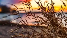 Zachód słońca nad jeziorem Niegocin, Bystry, luty 2021 - zdjęcie 27