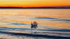 Jezioro Kisajno po zachodzie słońca, luty 2022 r. - zdjęcie 15