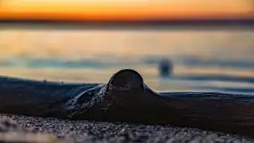 Jezioro Kisajno po zachodzie słońca, luty 2022 r. - zdjęcie 21