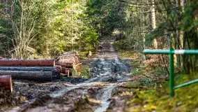 Wierzba i puszcza Piska, luty 2022 r. - zdjęcie 35