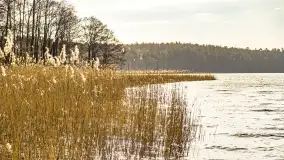 Wierzba i puszcza Piska, luty 2022 r. - zdjęcie 6