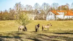 Wierzba i puszcza Piska, luty 2022 r. - zdjęcie 24