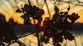 Zachód słońca nad grodziskiem Święta Góra i jeziorem Wojnowo, luty 2022 r. - zdjęcie 38