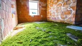 Ruiny pałacu z początku XX wieku w Notyście - zdjęcie 52