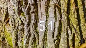 Rezerwat Sztynort u progu wiosny 2022 r. - zdjęcie 34