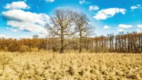 Jezioro Kirsajty i przedwiośnie - zdjęcie 19