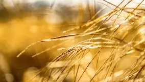 Jezioro Kirsajty i przedwiośnie - zdjęcie 42