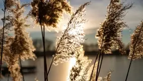 Zachód słońca nad jeziorem Harsz w Harszu - zdjęcie 12