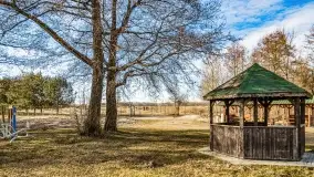 Jezioro Dobskie w okolicach Dziewiszewa, wyspa Gilma - zdjęcie 15