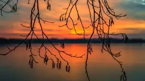 Zachód słońca nad jeziorem Dobskim, marzec 2022 r. - zdjęcie 43