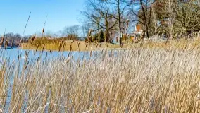 Przedwiośnie w Ełku, marzec 2022 r. - zdjęcie 22