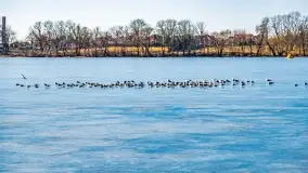 Przedwiośnie w Ełku, marzec 2022 r. - zdjęcie 12