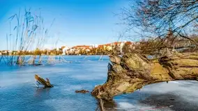 Przedwiośnie w Ełku, marzec 2022 r. - zdjęcie 12