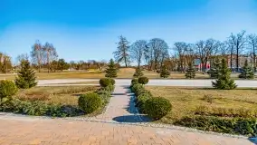 Przedwiośnie w Ełku, marzec 2022 r. - zdjęcie 31