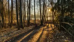 Zachód słońca nad jeziorem Krzywa Kuta - zdjęcie 3