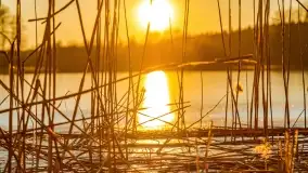 Zachód słońca nad jeziorem Krzywa Kuta - zdjęcie 27