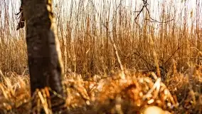 Zachód słońca nad jeziorem Mój - zdjęcie 30