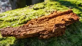 Mazury - inspiracja fotograficzna o każdej porze roku - zdjęcie 21