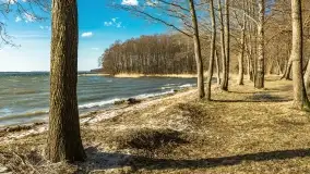 Wietrzny Dargin na początku wiosny - zdjęcie 2