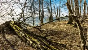 Wietrzny Dargin na początku wiosny - zdjęcie 37