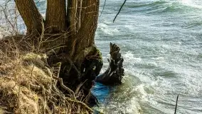 Wietrzny Dargin na początku wiosny - zdjęcie 23