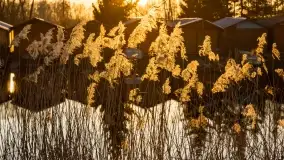 Garażowy zachód nad rzeką Pisa w Piszu - zdjęcie 35