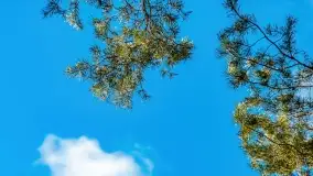 Mazury na niewykorzystanych ujęciach, styczeń - marzec 2022 - zdjęcie 16