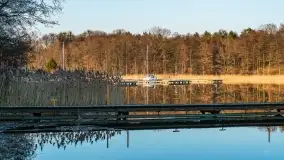 Jezioro Tajty widoczne z zachodniego brzegu - zdjęcie 16