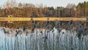 Jezioro Tajty widoczne z zachodniego brzegu - zdjęcie 15