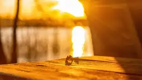 Zachód słońca nad jeziorem Kisajno, Zimny Kąt - zdjęcie 28