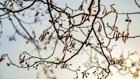 Zachód słońca nad jeziorem Wydmińskim, marzec 2022 - zdjęcie 37