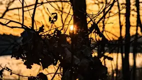 Zachód słońca nad jeziorem Wydmińskim, marzec 2022 - zdjęcie 20