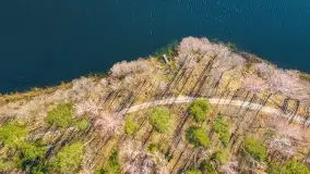 Binduga Zimny Kąt na początku wiosny 2022 - zdjęcie 9