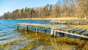 Binduga Zimny Kąt na początku wiosny 2022 - zdjęcie 28