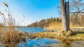 Binduga Zimny Kąt na początku wiosny 2022 - zdjęcie 23