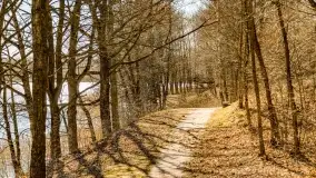 Jezioro Ołów w pierwszych dniach wiosny - zdjęcie 19