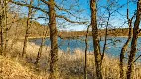 Jezioro Ołów w pierwszych dniach wiosny - zdjęcie 17