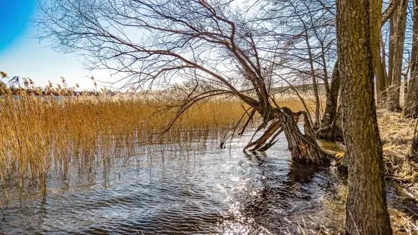 Jezioro Ołów w pierwszych dniach wiosny - zdjęcie 3