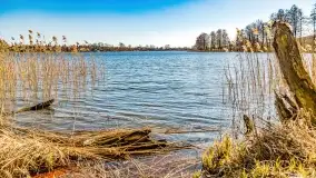 Jezioro Ołów w pierwszych dniach wiosny - zdjęcie 45