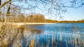 Jezioro Ołów w pierwszych dniach wiosny - zdjęcie 52