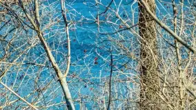 Jezioro Ołów w pierwszych dniach wiosny - zdjęcie 61