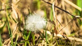 Jezioro Ołów w pierwszych dniach wiosny - zdjęcie 53