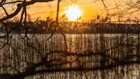 Wschód słońca przy wyspie Wydmińskiej, kwiecień 2022 r. - zdjęcie 13