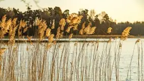 Wschód słońca przy wyspie Wydmińskiej, kwiecień 2022 r. - zdjęcie 36