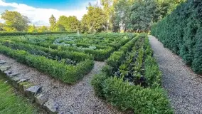 Takie różne tam, z telefonu i... z zeszłego roku 2021 - zdjęcie 9