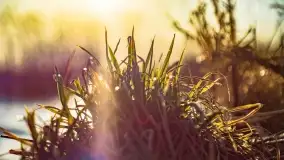 Zachód słońca nad jeziorem Dejguny, marzec 2022 r. - zdjęcie 47