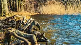 Zachód słońca nad jeziorem Dejguny, marzec 2022 r. - zdjęcie 14