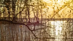 Zachód słońca nad jeziorem Dejguny, marzec 2022 r. - zdjęcie 32